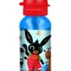 Bing Borraccia Alluminio 500 Ml