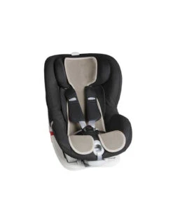 Foderina Segg. Gr.1 Sabbia