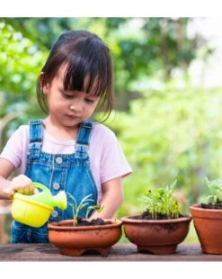 Vasino Pasha Eco - Ok Baby 6 Vasino Pasha Eco - Ok Baby -Bambini Prodotti Negozio 5538f793 xz 1335199 2