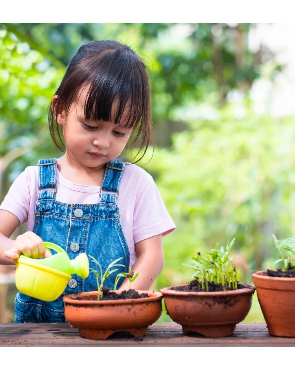 Vasino Pasha Eco - Ok Baby 3 Vasino Pasha Eco - Ok Baby - immagine 3