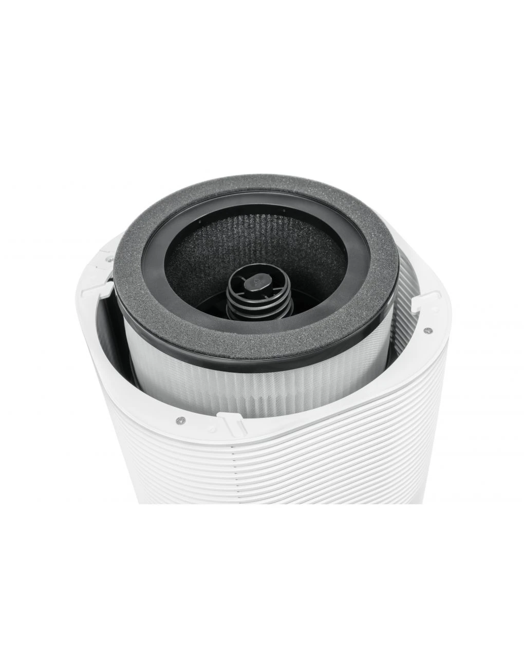 Babypur 5 6 Babypur 5 - immagine 6