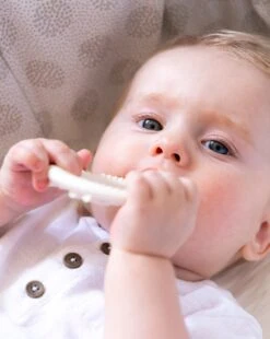 Anello Da Dentizione Circle So'pure Sophie La Girafe - Vulli -Bambini Prodotti Negozio b3cfa10d xz 1341842 3