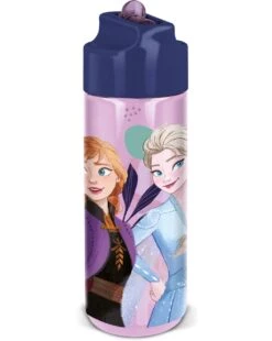 Borraccia Ecozen 540 Ml - Frozen